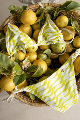 Small triangle bikini Top