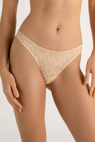 Touché internacional, Thong, Lingerie, Intimate fashion