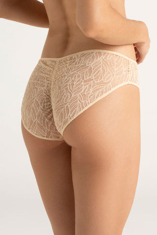 Touché internacional, Classic panty, Lingerie, Intimate fashion